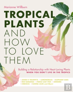 Bertrand.pt - Tropical Plants And How To Love Them