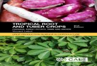 Tropical Root And Tuber Crops