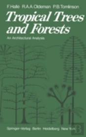 Tropical Trees And Forests