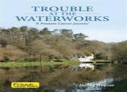 Trouble At The Waterworks