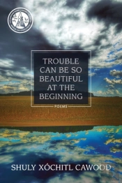 Trouble Can Be So Beautiful At The Beginning