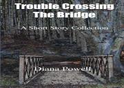 Trouble Crossing The Bridge