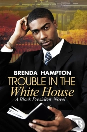 Trouble In The White House