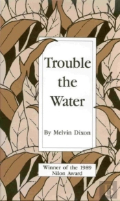 Trouble The Water