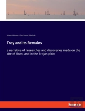 Troy And Its Remains