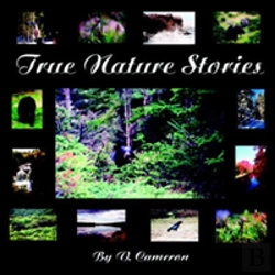 Bertrand.pt - True Nature Stories