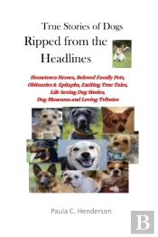 True Stories Of Dogs Ripped From The Headlines