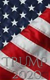 Trump  2020 -American Flag Writing Journal