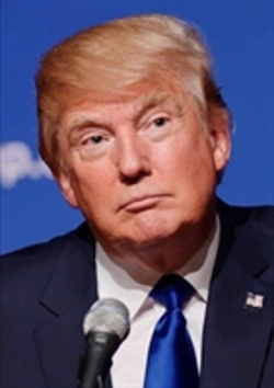 Bertrand.pt - Trump