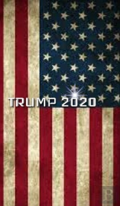 Trump American Flag 2020 Creative Journal