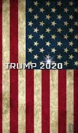 Bertrand.pt - Trump American Flag 2020 Creative Journal