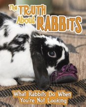 Truth About Rabbits The