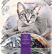 Tsuki Chat Lunaire En Finistere