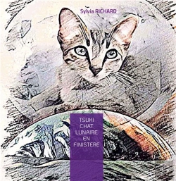 Bertrand.pt - Tsuki Chat Lunaire En Finistere