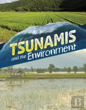 Tsunamis And The Environment