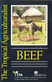 Tta Beef Production