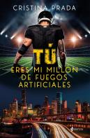 Tu Eres Mi Millon De Fuegos Artificiales