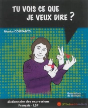 Tu Vois Ce Que Je Veux Dire ?