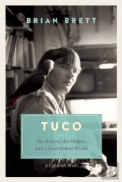 Tuco And The Scattershot World