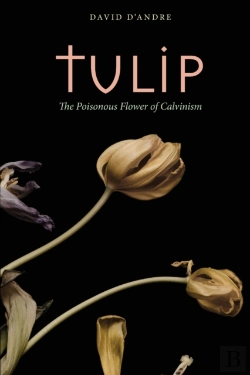 Bertrand.pt - Tulip