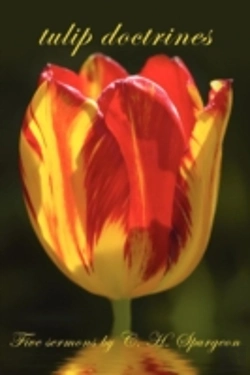 Bertrand.pt - Tulip Doctrines