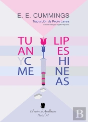 Tulipanes Y Chimeneas