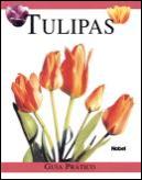 Tulipas