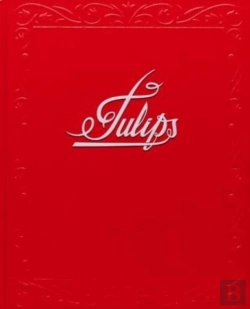 Bertrand.pt - Tulips