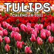 Tulips Calendar 2021