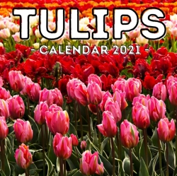 Bertrand.pt - Tulips Calendar 2021