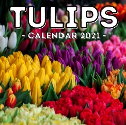 Bertrand.pt - Tulips Calendar 2021