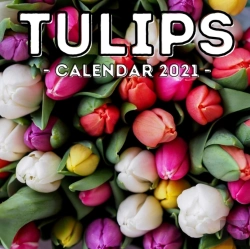 Bertrand.pt - Tulips Calendar 2021