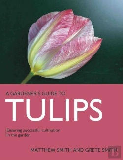 Bertrand.pt - Tulips