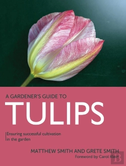 Bertrand.pt - Tulips