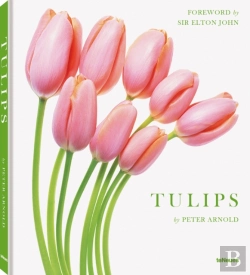 Bertrand.pt - Tulips