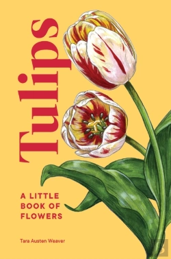 Bertrand.pt - Tulips