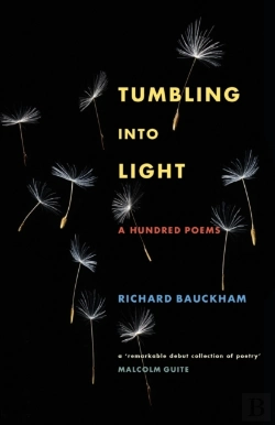 Bertrand.pt - Tumbling Into Light
