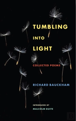 Bertrand.pt - Tumbling Into Light