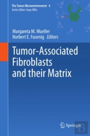 Tumor-Associated Fibroblasts And Their Matrix