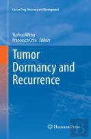 Tumor Dormancy And Recurrence