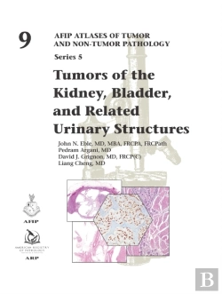 Bertrand.pt - Tumors Of The Kidney, Bladder, And Related Urinary Structures