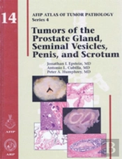 Tumors Of The Prostate Gland, Seminal Vesicles, Penis, And Scrotum