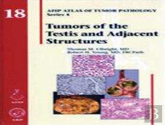 Tumors Of The Testis And Adjacent Structures