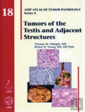 Tumors Of The Testis And Adjacent Structures