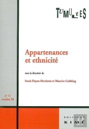 Tumultes N°11 Appartenances Et Ethnicite