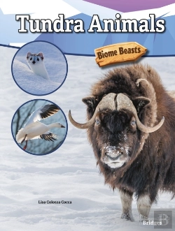 Bertrand.pt - Tundra Animals