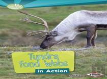 Tundra Food Webs In Action