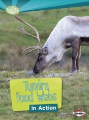 Tundra Food Webs In Action