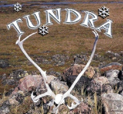 Bertrand.pt - Tundra
