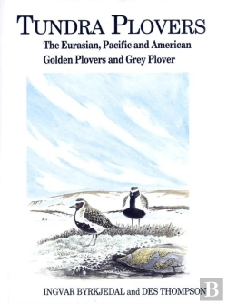 Bertrand.pt - Tundra Plovers
